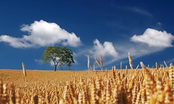 Reifenstecher in Treuen: Mehrere Pkw beschädigt