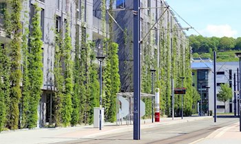Sexuelle Übergriffe in Dresden-Altstadt
