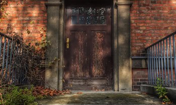 Ungebetener Besuch in Lauta