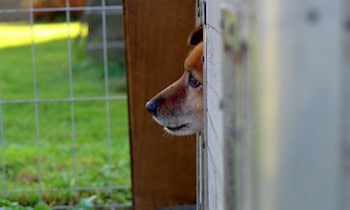 Vermisstenfahndung beendet: 33-Jähriger wieder da