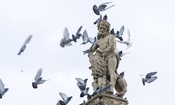 Gelbe Simson S51 in Plauen gestohlen