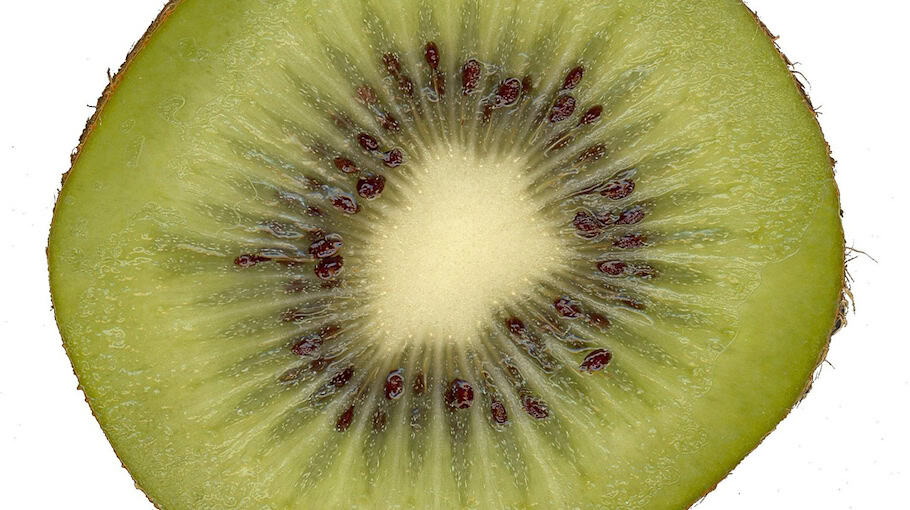 Scanner aus Transporter gestohlen in Meißen