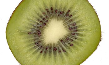 Scanner aus Transporter gestohlen in Meißen