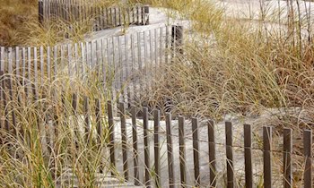 Grundstückszaun beschädigt in Nardt – Zeugen gesucht