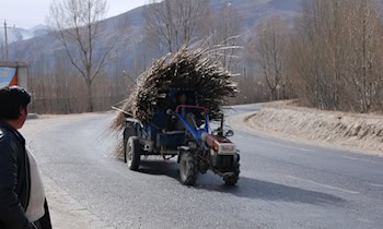VW T6 in Ebersbach gestohlen