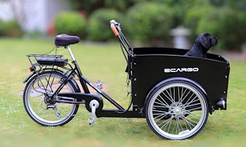 E-Bike aus Keller in Reusa gestohlen