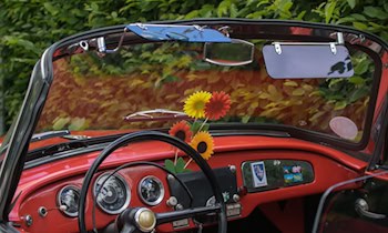 Skoda Fabia in Görlitz gestohlen