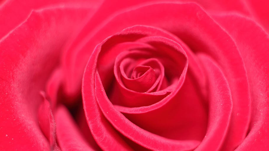 Falsche Bankmitarbeiter betrügen Mann um 9.000 Euro