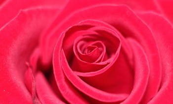 Falsche Bankmitarbeiter betrügen Mann um 9.000 Euro