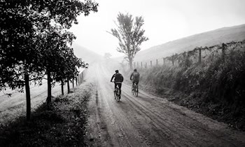 Mountainbike vor Bahnhof in Zittau gestohlen