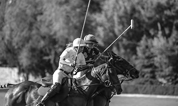 Sachbeschädigung an VW Polo in Plauen-Altstadt