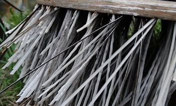 Großer Wischmaschinen-Diebstahl in Tiefgarage