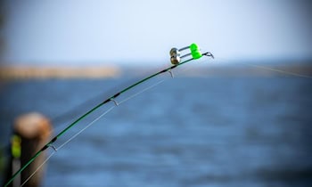 eBay-Phishing: Betrug in Sohland an der Spree