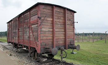 Verfolgungsfahrt mit gestohlenem Audi endet in Cainsdorf