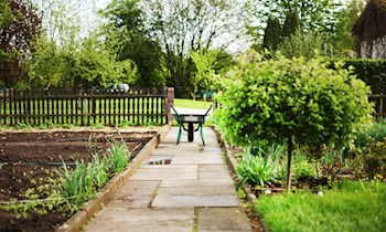 Ruhestörung in Kleingartenanlage: Anzeige wegen Volksverhetzung