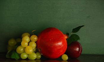 Granatenfund im Wald bei Neißeaue