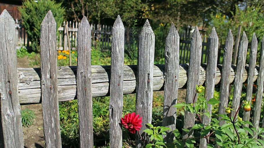 Tatverdächtiger in Kleingartenanlage in OT Sonnenberg gestellt