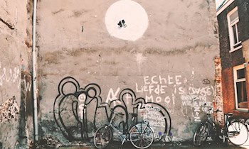 Vandalismus am Parteibüro in Riesa