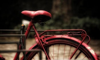 Sättel aus Halle in Coswig-Sörnewitz gestohlen