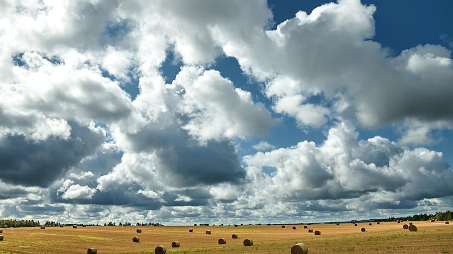 Angezündete Heuballen in Cunewalde