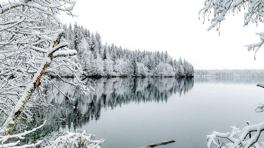 Spiegel abgetreten in Zwickau Nordvorstadt