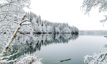 Spiegel abgetreten in Zwickau Nordvorstadt