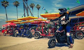 E-Bike und Kettensäge in Görlitz gestohlen