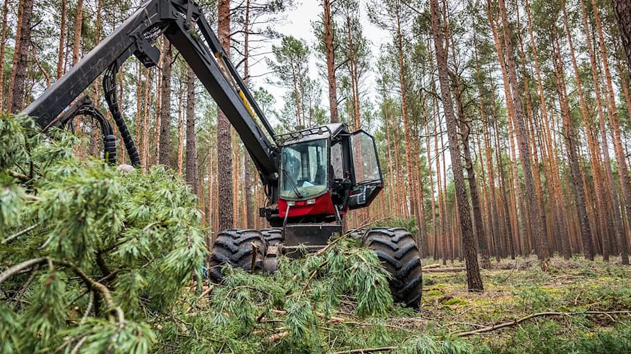 Sachbeschädigung an Forstmaschine in Reinhardsdorf-Schöna