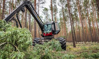 Sachbeschädigung an Forstmaschine in Reinhardsdorf-Schöna
