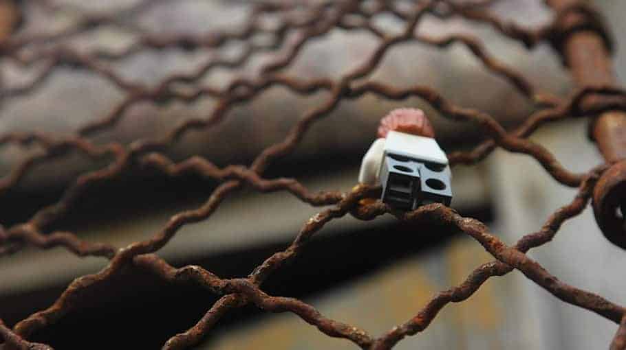 Gemeinsame Fahndungsgruppe stellt mutmaßlichen Autodieb