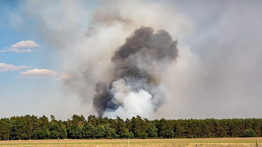 Waldbrand am Kupferberg in Großenhain