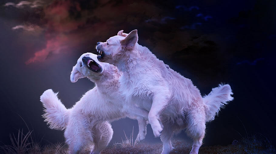 Schlägerei nach Feiern in Sonnenberg