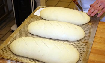 Großflächige Lackschäden an Mercedes in Neuplanitz