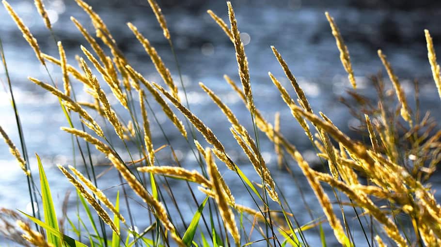 Rücklichter von Mercedes Actros in Käbschütztal gestohlen