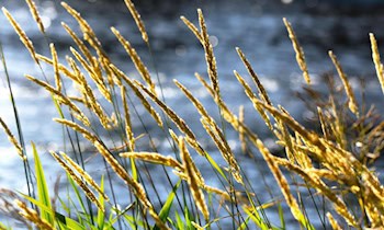 Rücklichter von Mercedes Actros in Käbschütztal gestohlen