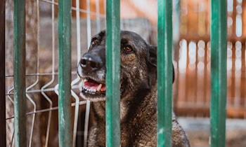 Vermisstenfahndung beendet: 14-Jähriger wohlbehalten zurück
