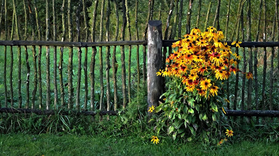 Großer Diebstahl in Weißwasser: Tatverdächtiger gefasst