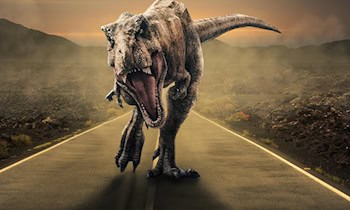 Drei Raubüberfälle in Dresdner Neustadt