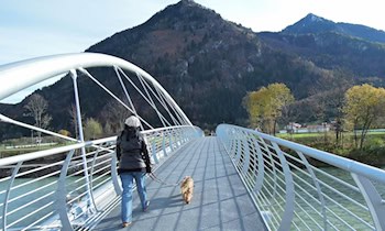 Fußgängerin bei Unfall in Freital-Deuben leicht verletzt