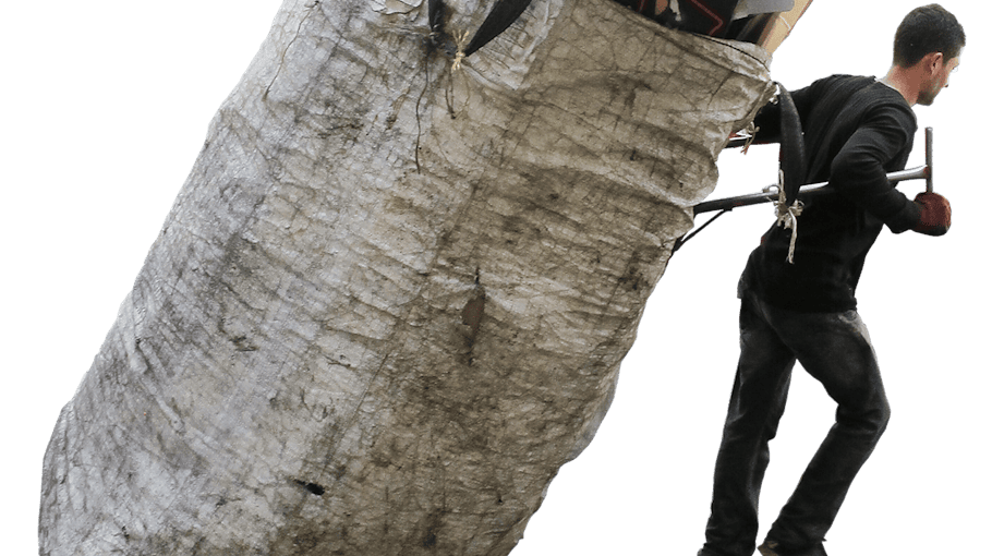 Zeugenaufruf nach Diebstahl in Hoyerswerda