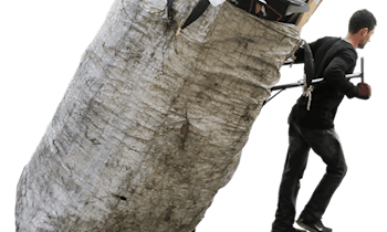 Zeugenaufruf nach Diebstahl in Hoyerswerda