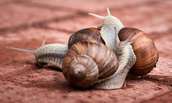 Auffahrunfall in Adorf mit Fahrerflucht