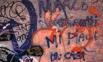 Jugendliche werfen Gegenstände auf Auto in Riesa