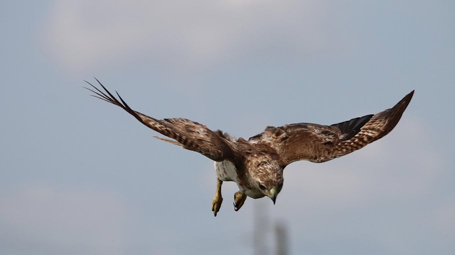 Mädchen festgehalten in Löbau: Zeugen gesucht