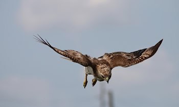 Mädchen festgehalten in Löbau: Zeugen gesucht