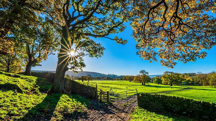 Zeugen gesucht nach Zaunbeschädigung in Reichenbach