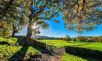 Zeugen gesucht nach Zaunbeschädigung in Reichenbach