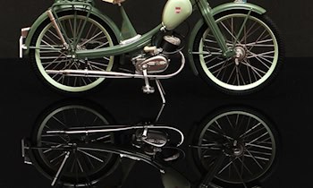 Mopeddiebe in Kamenz-Brauna gestellt