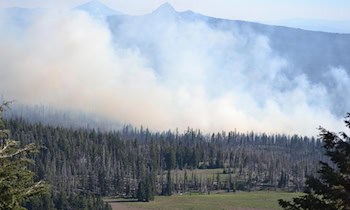 Brand in Einfamilienhaus in Markkleeberg
