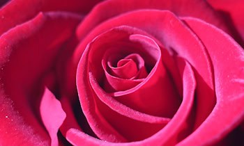 Falsche Kanalreiniger in Neukirch